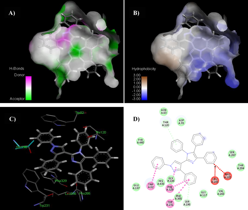 The analyses showing H-bonds (A) and hydrophobic contacts (B) of compound 5a. In the hydrophobic contacts (right) the blue color shows favorable structural features (atoms and torsions) donating to the whole binding energy inside the BChE binding pouch (PDB ID: 4bds), the pink representing unfavorable, and the white is neutral one. Fig. 12-C is 3D and Fig. 12-D is 2D representations of docked ligand 5a.