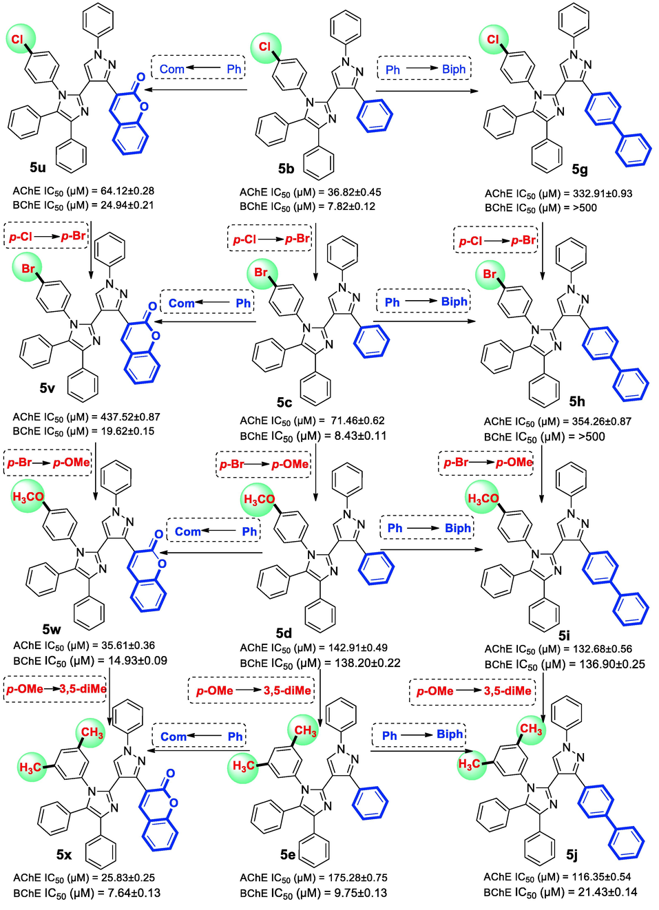 Variation in AChE and BChE inhibitions with structural modifications in the compounds: 5b-5e, 5 g-5j and 5u-5x.