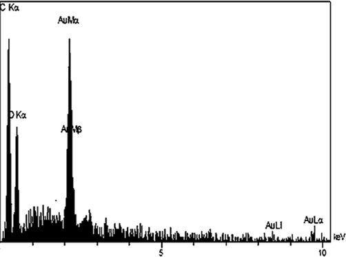 EDX spectrum of the Au NPs.