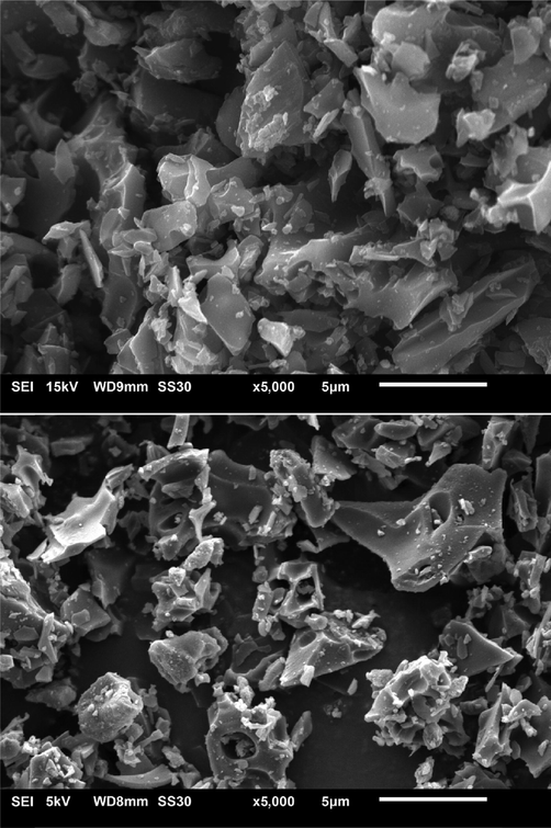 SEM micrograph of (a) OPEFB biochar (b) rGO.