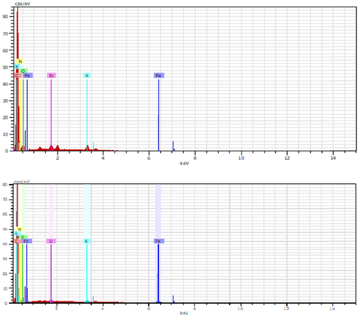 EDX spectrum of (a) OPEFB biochar (b) rGO.