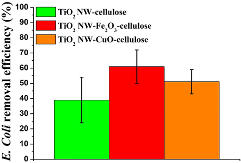 E. coli removal efficiency (BFE%) of TiO2 NW-based hybrid membranes.