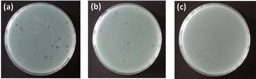 MS2 enumeration plates of TiO2-cellulose (a); TiO2-Fe2O3-cellulose (b) and TiO2-CuO-cellulose (c) membranes after filtration experiments, investigating 2 LRV value.