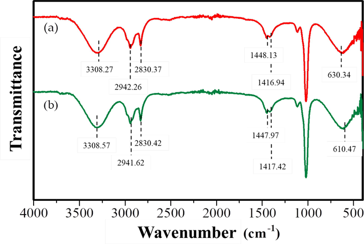 FTIR spectrum of l-Dopa standard [red line] (A) and l-Dopa isolate [green line] (B). The FTIR spectrum of l-Dopa standard and l-Dopa isolates showed the presence of O—H(stretching); N—H(stretching) symmetrical; C—H(stretching) aromatic; C—H(bending) aliphatic; C⚌O(stretching); and N—H(bending) bonds at wave numbers 3308.27 and 3308.57 cm−1; 2942.26 and 2941.62 cm−1; 2830.37 and 2830.42 cm−1; 1448.13 and 1447.97 cm−1; 1416.19 and 1417.42 cm−1; 630.34 and 610.47 cm−1, respectively.