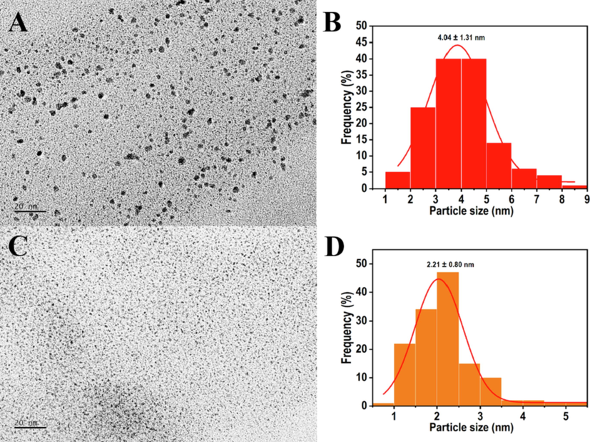 TEM micrographs of PtNPs green synthesized with H2PtCl6 and N. tetragona extracts at ratios of 1:1 (L1-PtNPs) and 1:4 (L4-PtNPs). A, B and C, D represent the TEM of L1-PtNPs and L4-PtNPs, respectively.