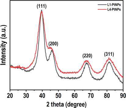 XRD pattern of N. tetragona extract-mediated PtNPs.