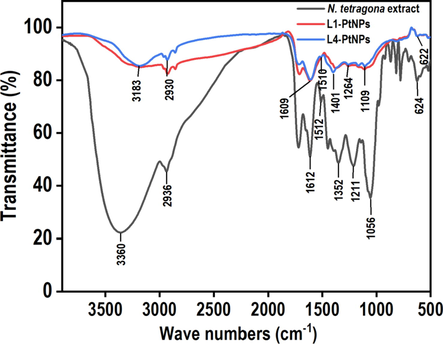 FTIR spectrum of N. tetragona extract and green synthesized PtNPs. Black, red and blue colors represent the FTIR spectra of the N. tetragona extract, L1-PtNPs and L4-PtNPs, respectively.