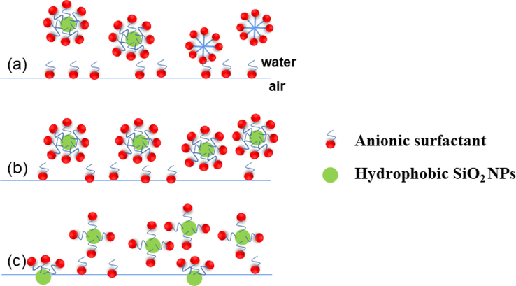 The adsorption process of SDS and hydrophobic SiO2-NPs (Jiang et al., 2016).