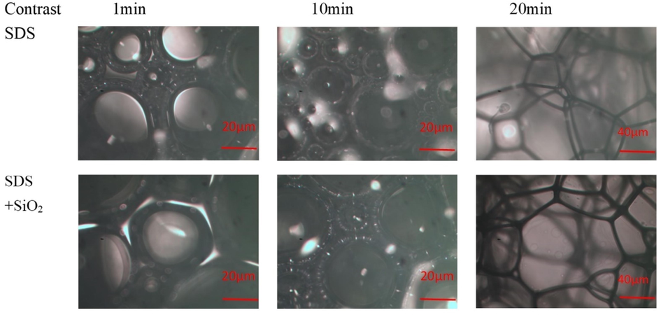 Microstructure of foam with added SiO2-NPs (200x magnification before 10 min, 100x magnification after 10 min).