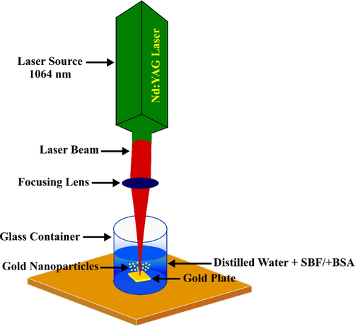 Schematic diagram of the preparation of AuNPs using pulsed laser ablation system.