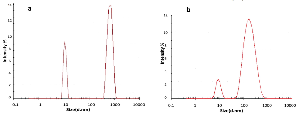 Colloidal AuNPs distribution according to DLS for (a) ex-situ and (b) in-situ AuNPs conjugated to BSA in SBF.