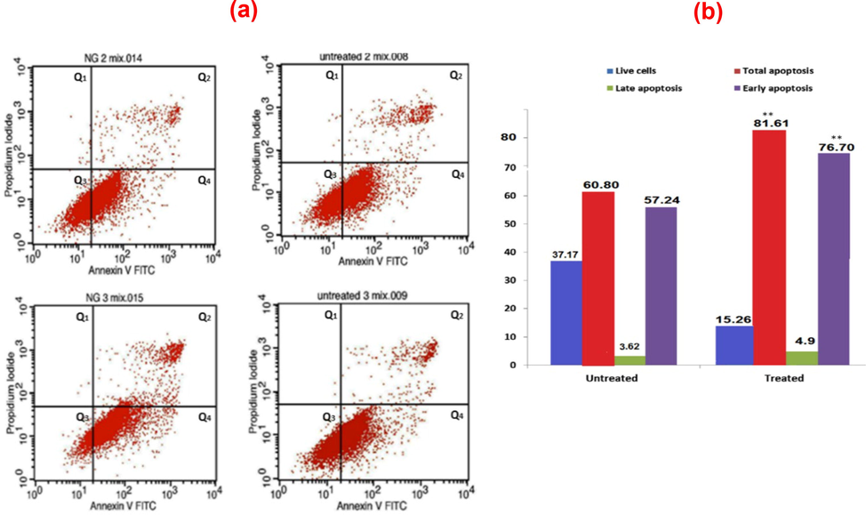 (a) Annexin V expression for AuNPs conjugated with BSA in SBF for 48 h on HeLa cells: FITC-A (horizontal) and PI-A (vertical) showed Annexin V and PI stains intensity respectively, Q1: dead cells/debris, Q2: late apoptotic cells, Q3: live cells, and Q4: early apoptotic cells and (b) cell distribution (%) based on Annexin V/PI staining.