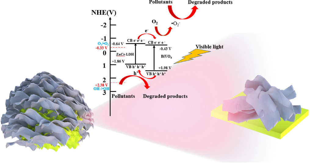 The proposed photodegradation model over 3D hierarchical BiVO4/ZnCr-LDH type II heterojunction under visible light illumination.