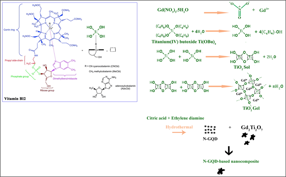 The proposed mechanism for synthesis of GT nanostructure using vitamin B12 by auto-combustion sol–gel technique.