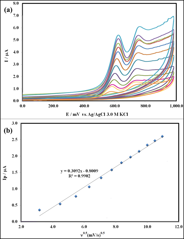 (a) Cyclic voltammograms of HCQ in Britton–Robinson buffer (pH = 9.0) at the surface of GT/N-GQDs/CPE, using various scan rates: 20–120 mV s−1 (from inner to outer) and (b) peak current, Ip (μA) vs υ1/2.
