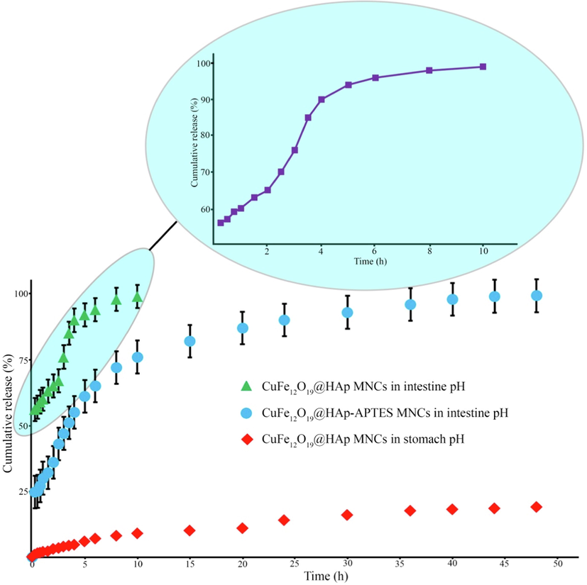 In-vitro drug release profiles from magnetic nanocomposites in stomach and intestine environment.