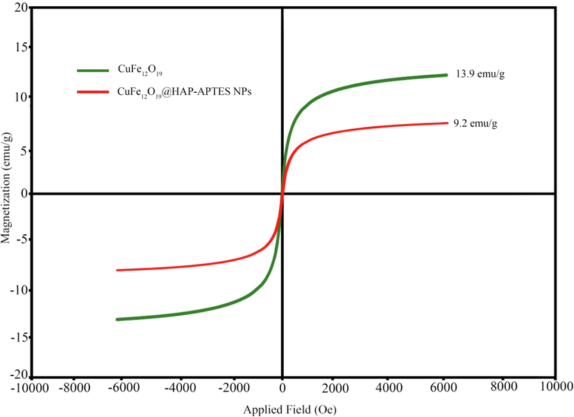 VSM magnetization curves of CuFe12O19, and CuFe12O19@HAp MNCs.