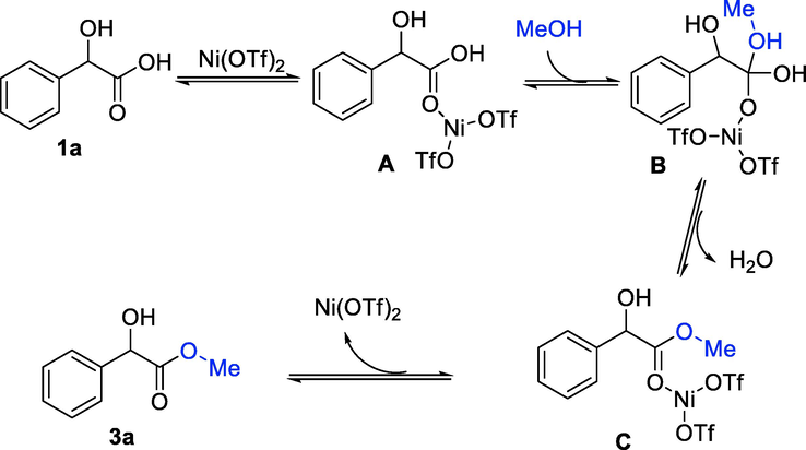 Proposed mechanism.