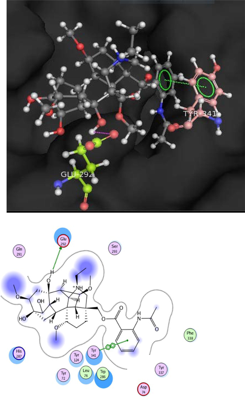 Docking pose of compound 1 within cholinesterase target.