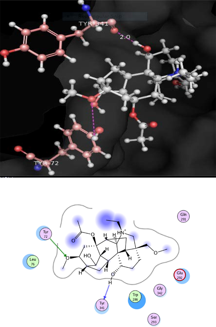 Docking pose of compound 2 within cholinesterase target.