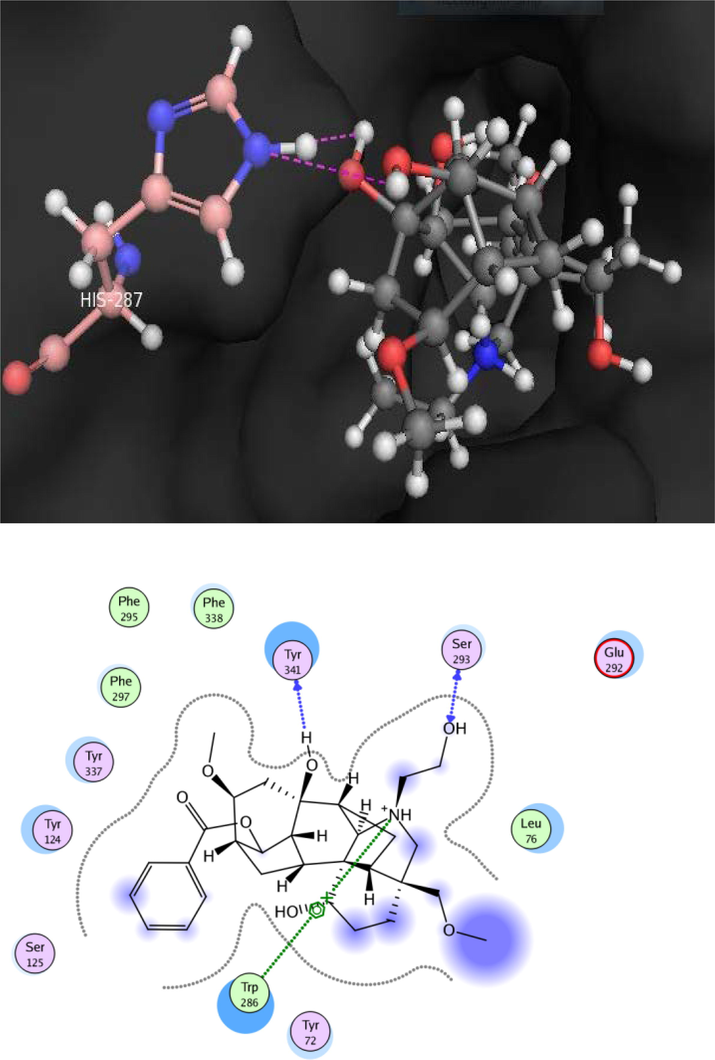 Docking pose of compound 3 within cholinesterase target.