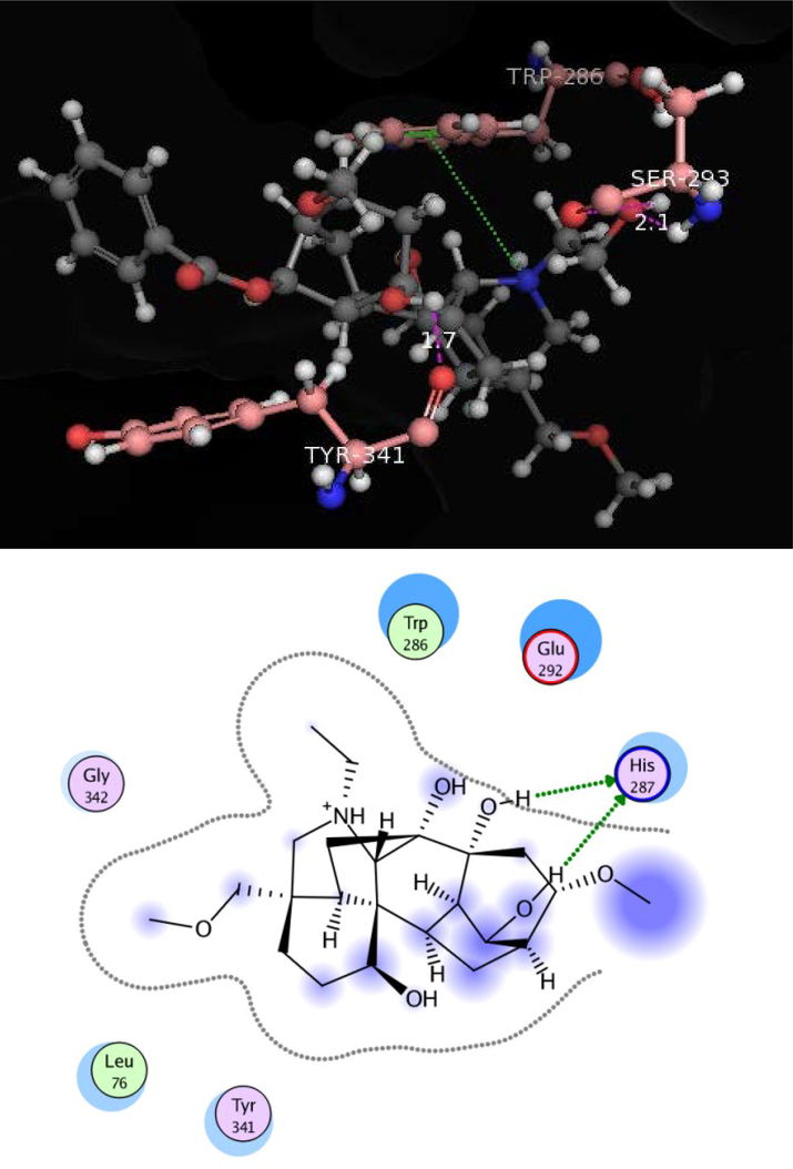 Docking pose of compound 4 within cholinesterase target.