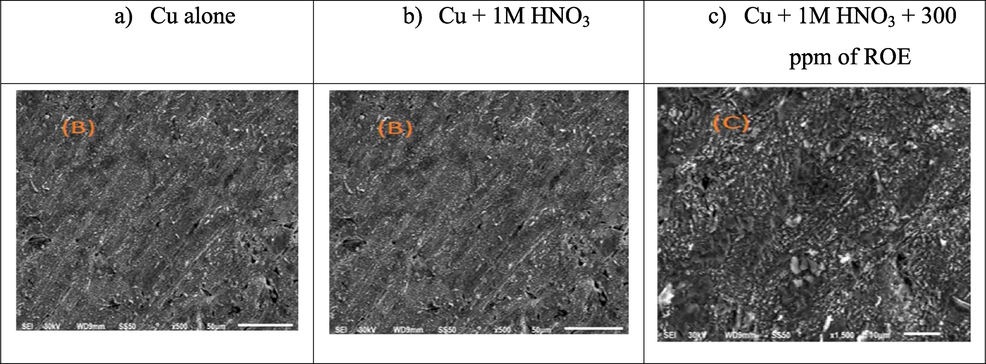 SEM micrographs of the surface of Cu alone and after immersion in 1 MHNO3