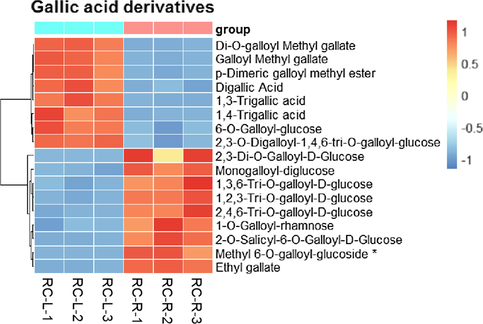 The differences in differential metabolites of gallic acid derivatives between RC-L and RC-R displayed by heat map. There were 1 biomarker and 16 CDMs for gallic acid derivatives. Three independent replicates were performed.