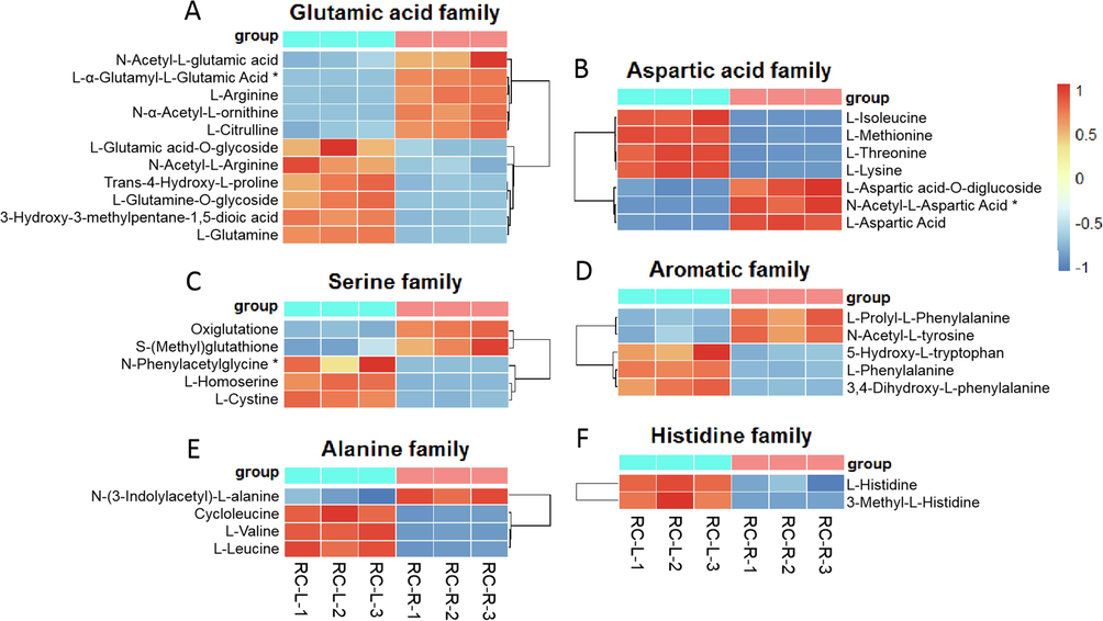 The differences in differential metabolites of amino acids between RC-L and RC-R displayed by heat map. There were 1 biomarker and 10 CDMs for the glutamic acid family (A), 1 biomarker and 6 CDMs for the aspartic acid family (B), 1 biomarker and 4 CDMs for the serine family (C), 0 biomarker and 5 CDMs for the aromatic family (D), 0 biomarker and 4 CDMs for the alanine family (E), and 0 biomarker and 2 CDMs for the histidine family (F). Three independent replicates were performed.