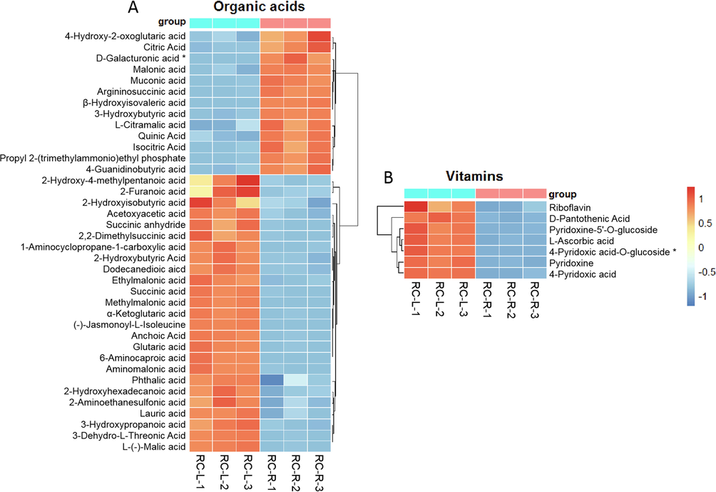 The differences in differential metabolites of organic acids and vitamins between RC-L and RC-R displayed by heat map. There were 1 biomarker and 37 CDMs for organic acids (A), and 1 biomarker and 6 CDMs for vitamins (B). Three independent replicates were performed.