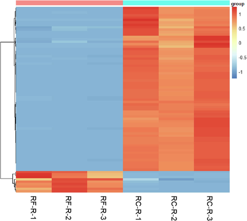 The differential metabolites of volatile compounds between RF-R and RC-R displayed by heat map. There were 45 biomarkers and 32 CDMs for volatile compounds. Three independent replicates were performed. The heat maps were generated based on cluster analysis of the relative contents of differential metabolites, including biomarkers and CDMs, in RF-R and RC-R samples. Each row represents one metabolite; each column denotes one Rhodiola sample. After normalization, the range of variation in the relative content of each metabolite was set to between −1.5 and 1.5. Upregulation indicates a significant increase in the amount of a metabolite in one Rhodiola sample compared to the amount of the corresponding metabolite in another Rhodiola sample, which is depicted in red; downregulation indicates a significant decrease in the amount of a metabolite in one Rhodiola sample compared to the amount of the corresponding metabolite in another Rhodiola sample, which is depicted in blue. The upregulation rate is the percentage of the number of upregulated differential metabolites among the number of total differential metabolites. Note that the meaning of subsequent heat maps is the same.