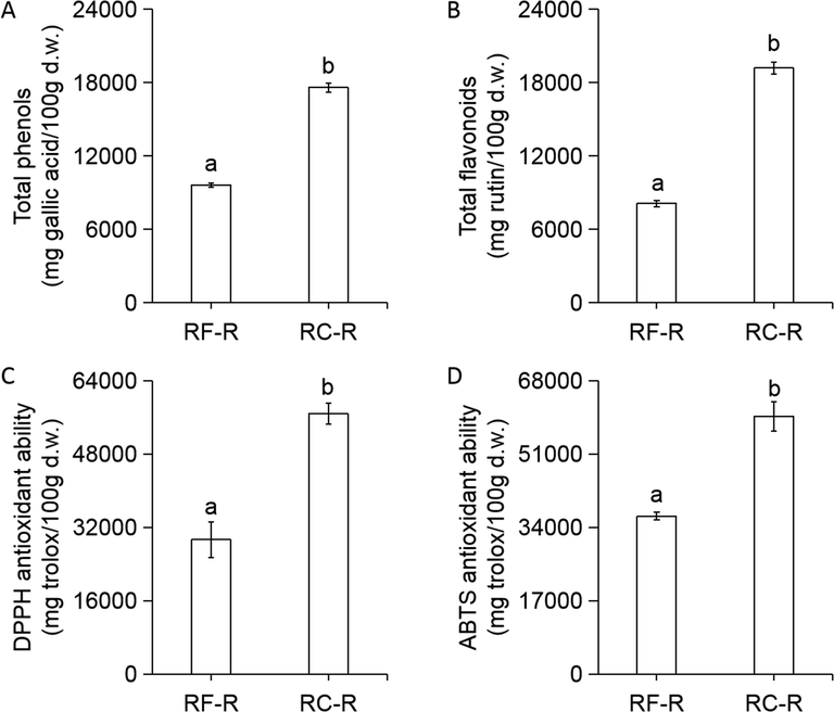 Contents of phenolic components and antioxidant abilities of RF-R and RC-R. Total phenols (A); total flavonoids (B); DPPH antioxidant ability (DPPH is an abbreviation of 2,2-diphenyl-1-picrylhydrazyl) (C); and ABTS antioxidant ability (ABTS is an abbreviation of 2,2′-azino-bis(3-ethylbenzothiazoline-6-sulphonic acid)) (D). Gallic acid and rutin were used as standards for total phenols and total flavonoids, respectively. Trolox was used as a standard for DPPH and ABTS antioxidant ability. Results are presented as the mean ± SD of six independent experiments (n = 6) and are expressed as mg standard per 100 g d.w. of plant materials. In each column, different letters (a and b) mean significant differences between two groups (p < 0.05) found via a t-test.