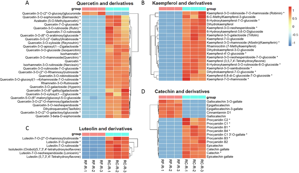 The differential metabolites of flavonoids between RF-R and RC-R displayed by heat map. There were 22 biomarkers and 7 CDMs for quercetin and derivatives (A), 11 biomarkers and 8 CDMs for kaempferol and derivatives (B), 4 biomarkers and 2 CDMs for luteolin and derivatives (C), and 7 biomarkers and 9 CDMs for catechin and derivatives (D). Three independent replicates were performed.