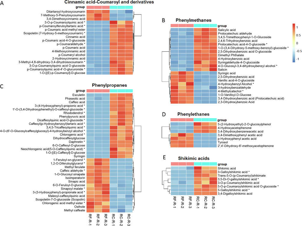 The differences in differential metabolites of phenylpropanoids between RF-R and RC-R displayed by heat map. There were 6 biomarkers and 12 CDMs for cinnamic acid-coumaroyl and derivatives (A), 5 biomarkers and 16 CDMs for phenylmethanes (B), 16 biomarkers and 17 CDMs for phenylpropanes (C), 0 biomarker and 7 CDMs for phenylethanes (D), and 4 biomarkers and 4 CDMs for shikimic acids (E). Three independent replicates were performed.