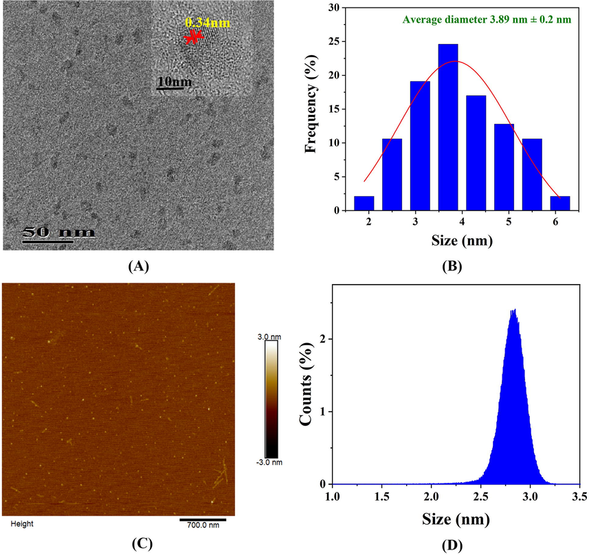 (A) A TEM image, (B) a particle size distribution histogram, (C) an AFM image, and (D) the average height of the as-synthesized SLS-CQDs.