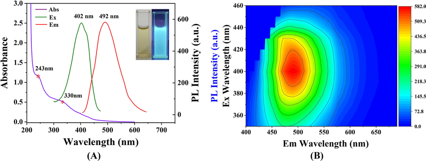 (A) UV–vis absorption (purple line), fluorescence excitation (green line), and emission (red line) spectra of the SLS-CQDs (1.0 mg/mL). The inset displays images of the SLS-CQDs under daylight (left) and 365 nm UV light (right). (B) The 3D fluorescence diagram of SLS-CQDs at excitation wavelengths from 350 nm to 460 nm.