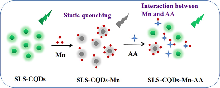 The potential mechanism of “on–off-on” for determining Mn and AA by SLS-CQDs.