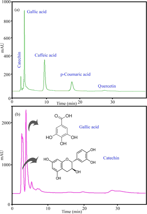 HPLC chromatogram of (a) standard and (b) methanolic extract of Pistacia vera hull.