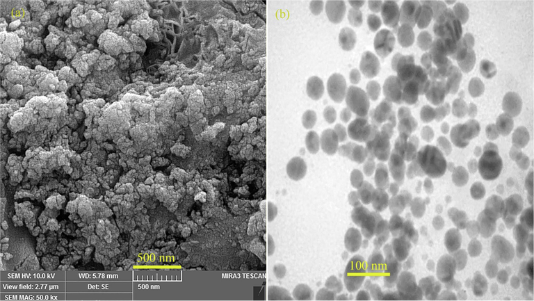 (a) FESEM and (b) TEM image of biosynthesized gold nanoparticles using Pistacia vera hull.