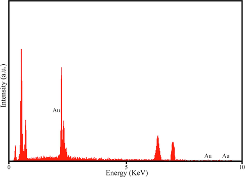 EDS pattern of AuNPs@PV.