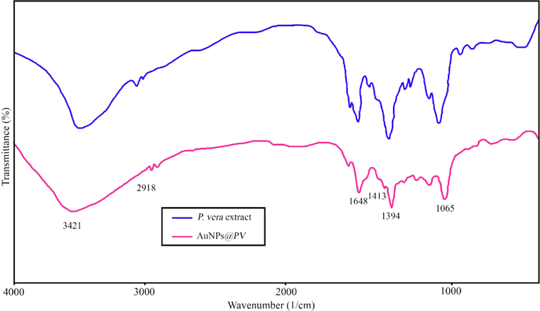 FTIR spectrum of pure Pistacia vera hull and AuNPs@PV.