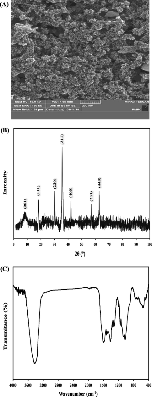 (A) The FE-SEM image, (B) XRD pattern, and (C) FTIR spectra of Fe3O4-GO MNCs.