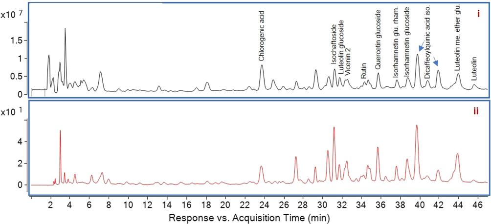 MS spectrum (i) and HPLC chromatogram (ii) of ASA. ASA, Aqueous extract; HPLC, high-performance liquid chromatography; MS, mass spectrometry.