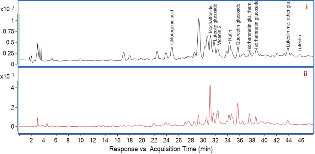 MS spectrum (i) and HPLC chromatogram (ii) of ASE. ASE, Ethanolic extract; HPLC, high-performance liquid chromatography; MS, mass spectrometry.