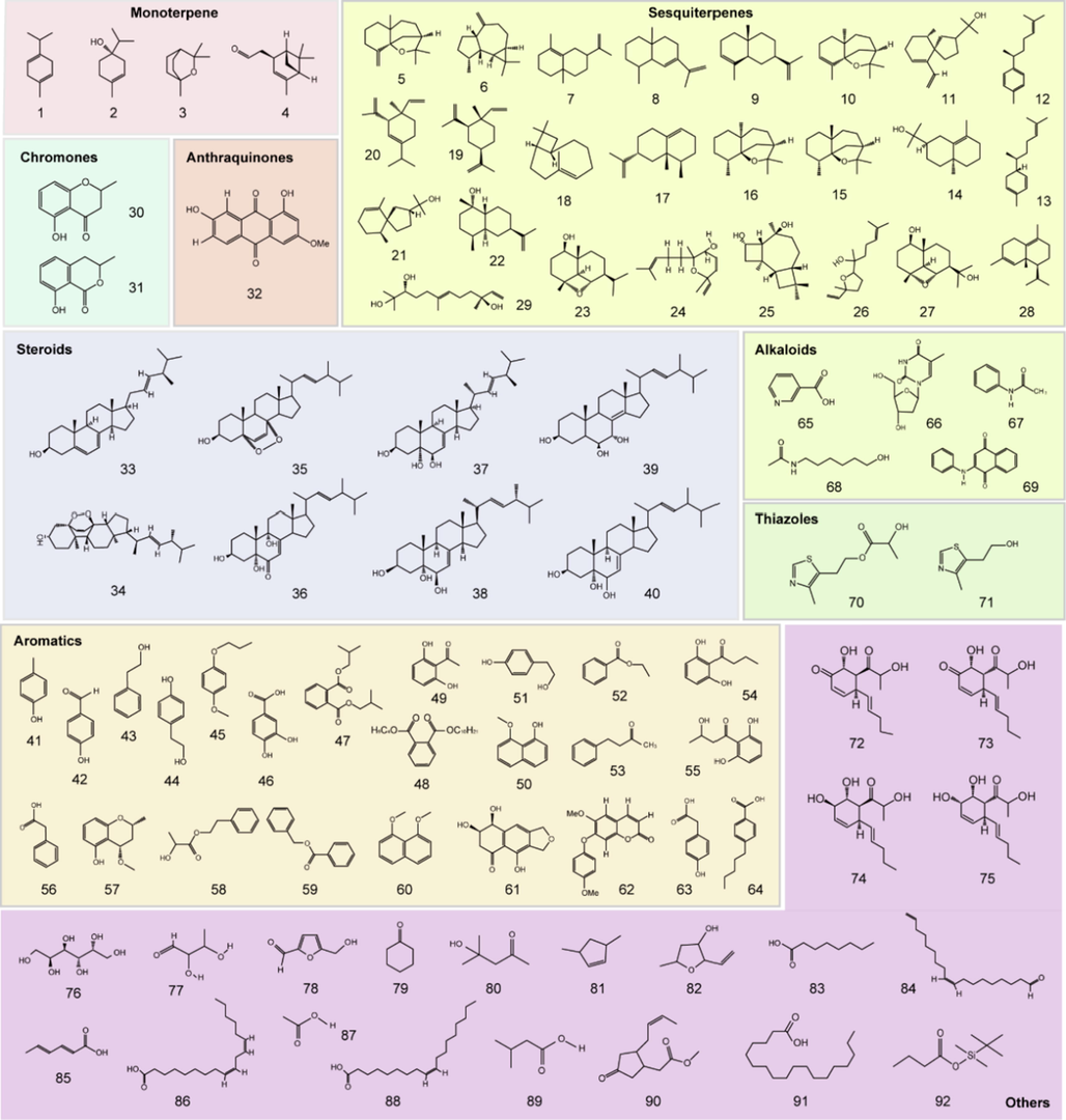 The structures of 92 compounds produced by the endophytes of Aquilaria and Gyrinops.