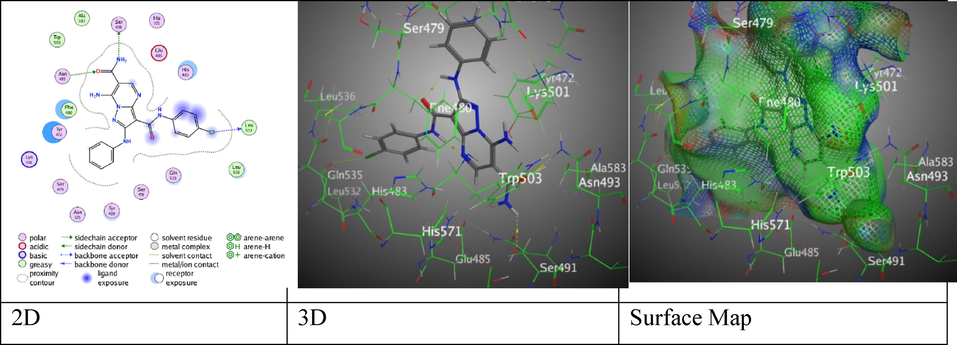 The interaction between hybrid 6c and (PDB ID: 5IVE).