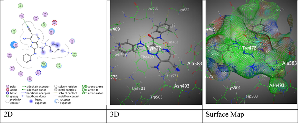 The interaction between hybrid 4c with (PDB ID: 5IVE).