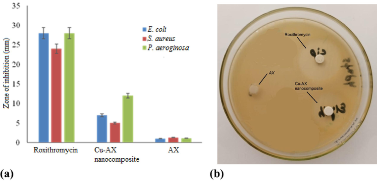 A) comparative antimicrobial activity of roxithromycin (standard antibiotic), Cu-AX nanocomposite and AX (control) against Gram-positive and Gram-negative bacteria; b) A typical image showing the zone of inhibition produced by the composite against P. aerognosa.