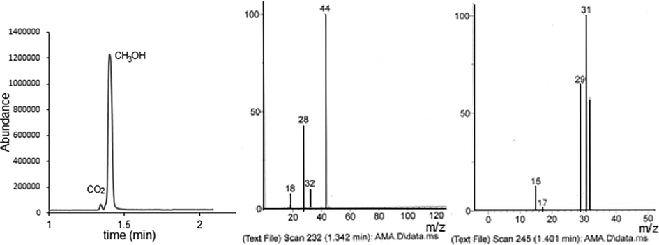 The total ion chromatogram and mass spectra of the converted mixture.