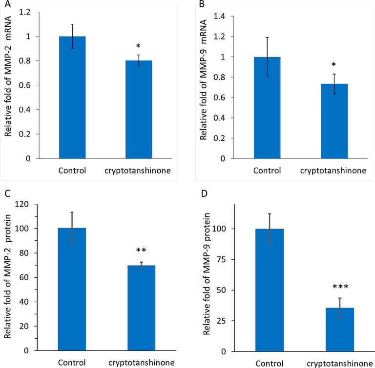 qPCR assay for determining the expression of MMP-2 mRNA (a) and MMP-9 mRNA (b) in MCF-7 cells incubated with cryptotanshinone (17.5 µM) at 24 h. ELISA assay for determination of the expression of MMP-2 protein (C) and MMP-9 protein (D) in MCF-7 cells incubated with cryptotanshinone (17.5 µM) at 24 h. All the experiments were carried in triplicate, and data are reported as mean ± SD values. *P < 0.05, **P < 0.01, ***P < 0.001, relative to control.